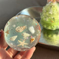 Crystal Ocean Shell Stress Ball